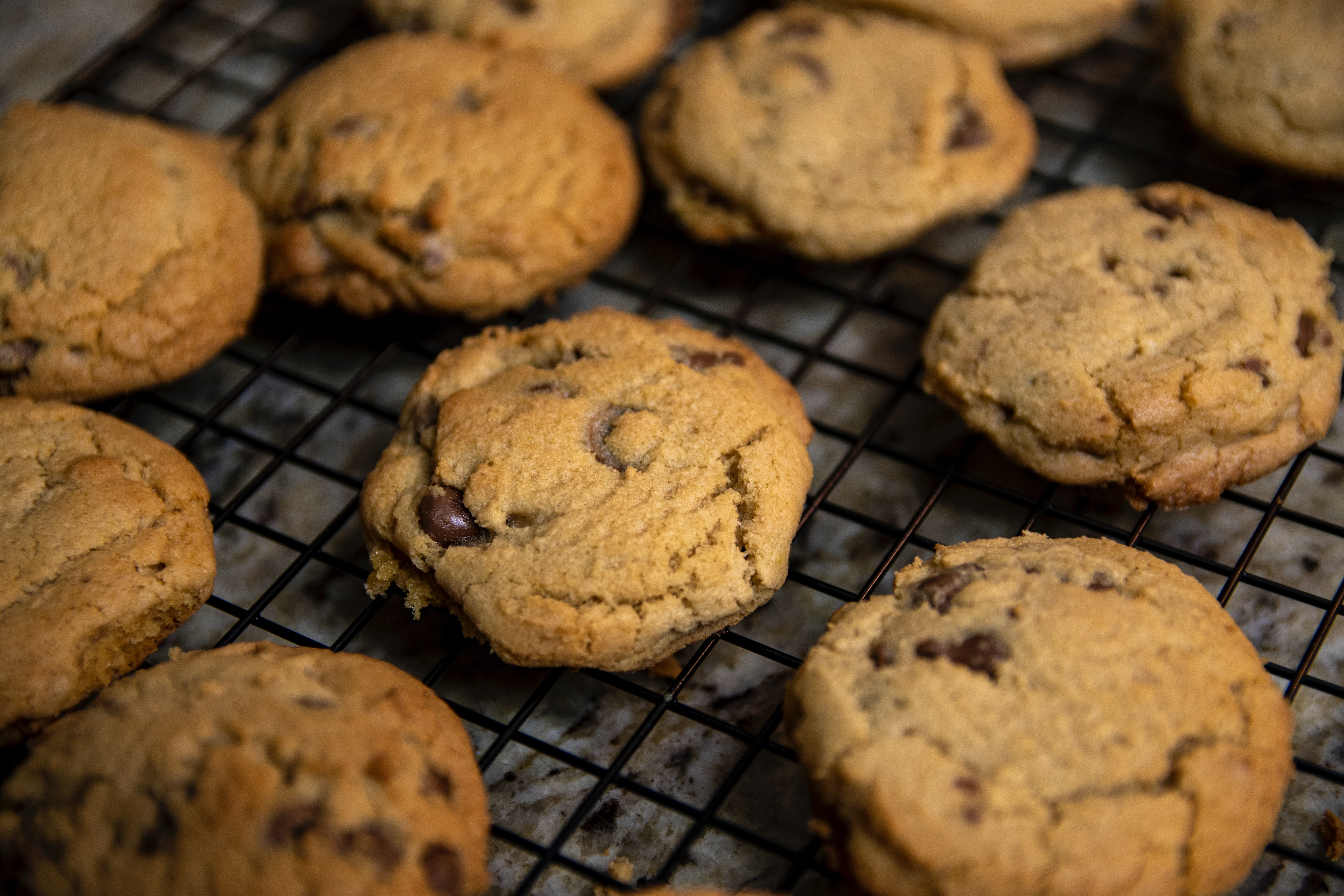 CBD cookies 