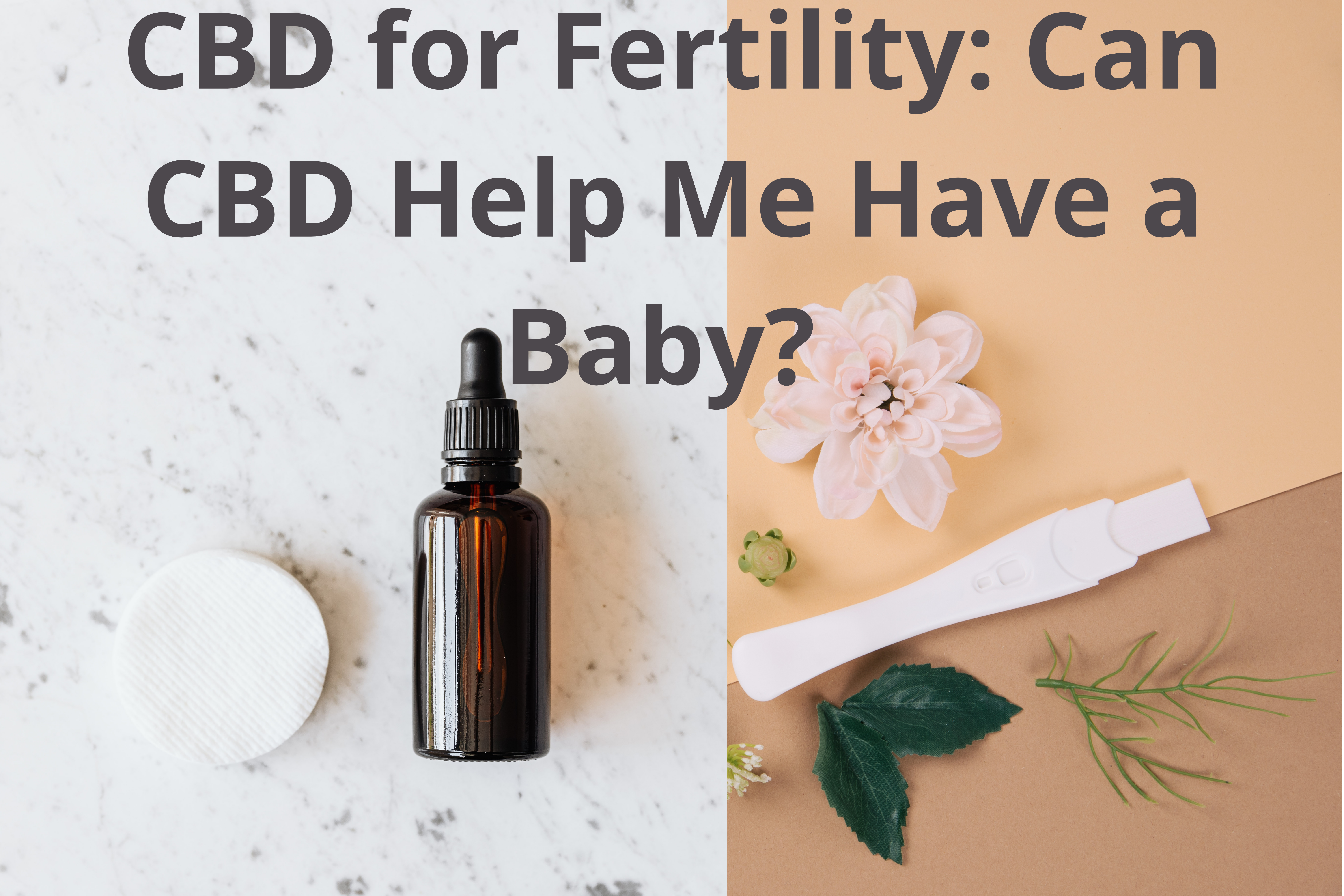 CBD helps fertility