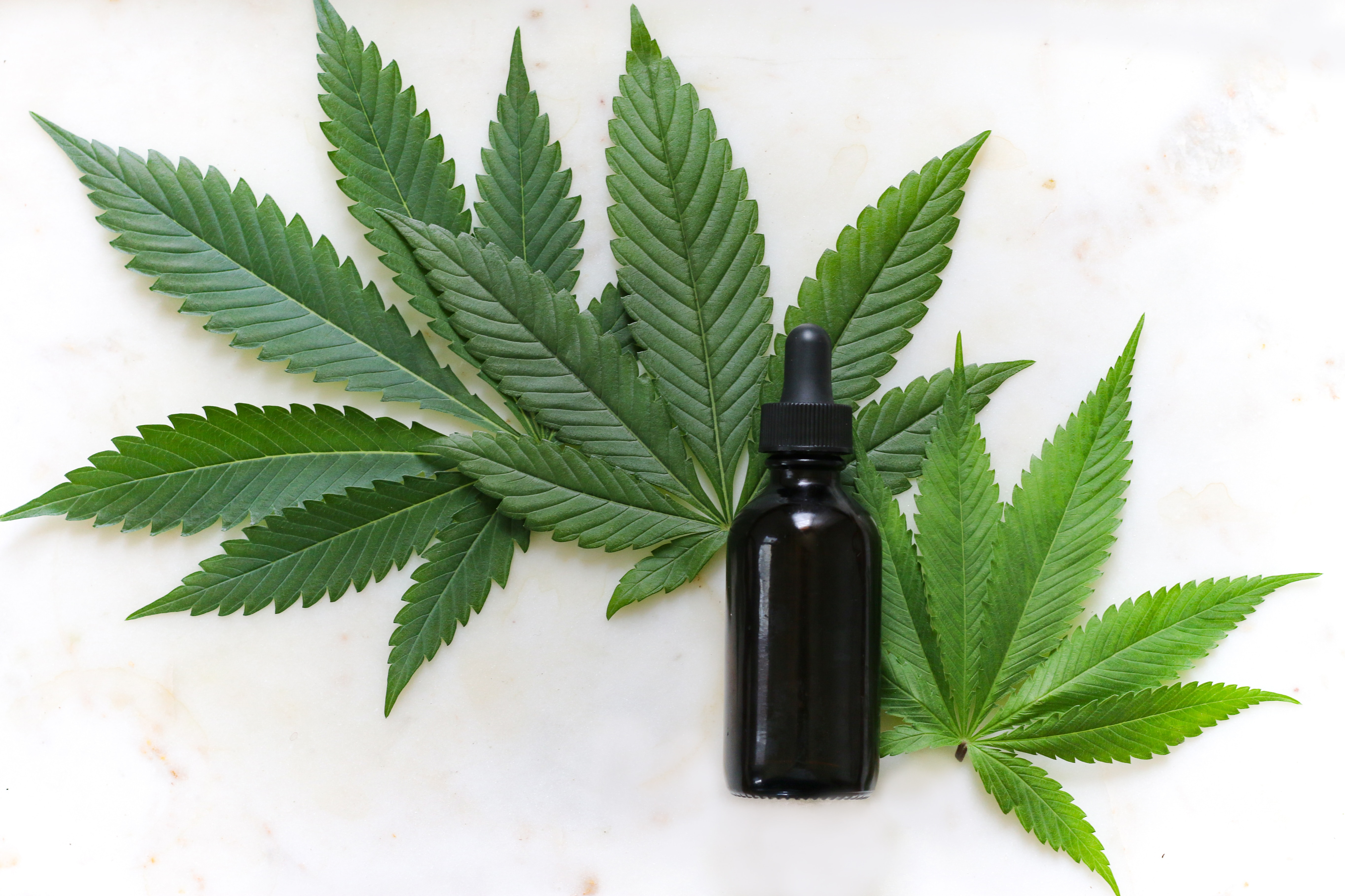 CBD oil products 