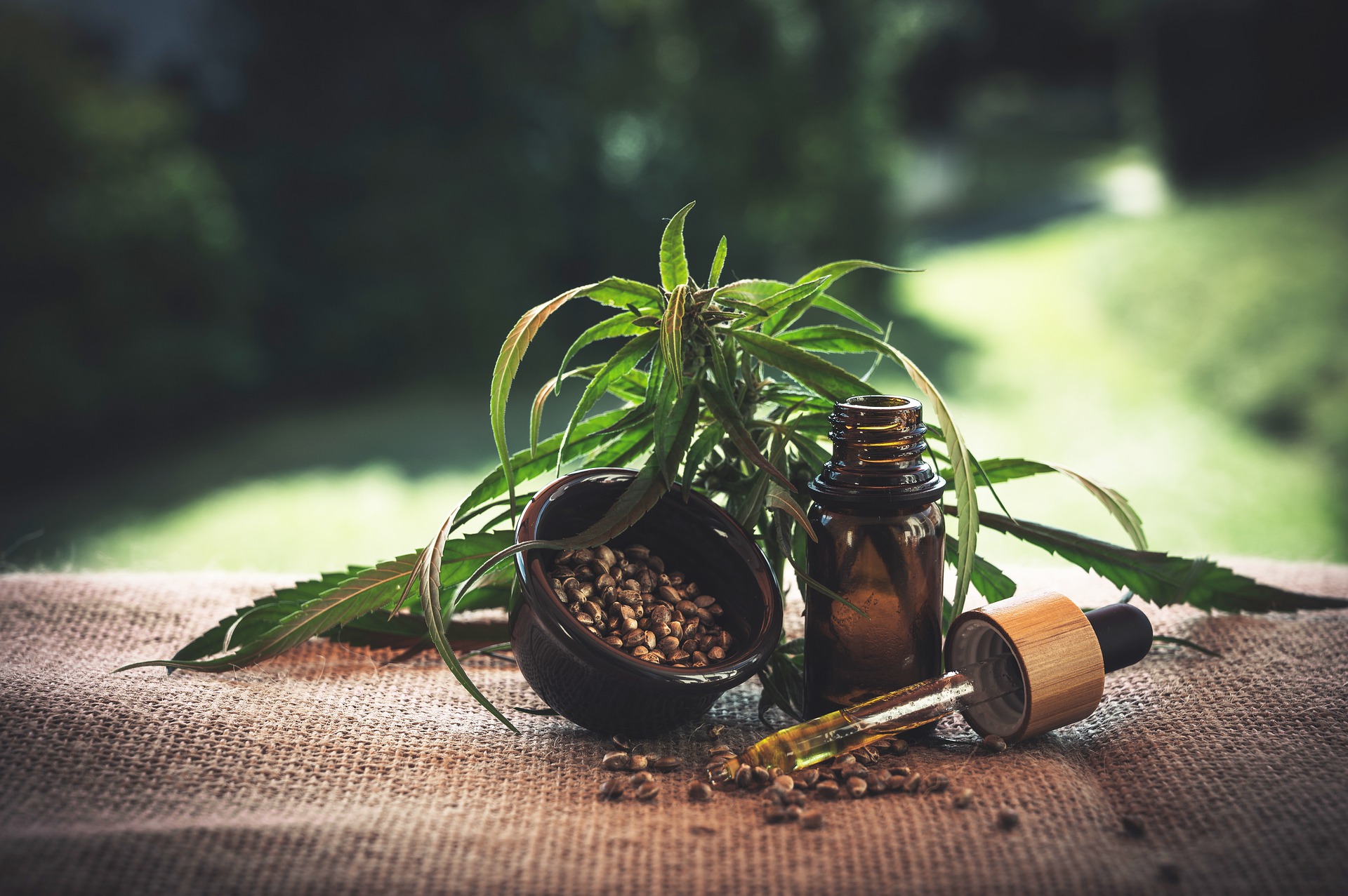 Cannabinoids-in-hemp
