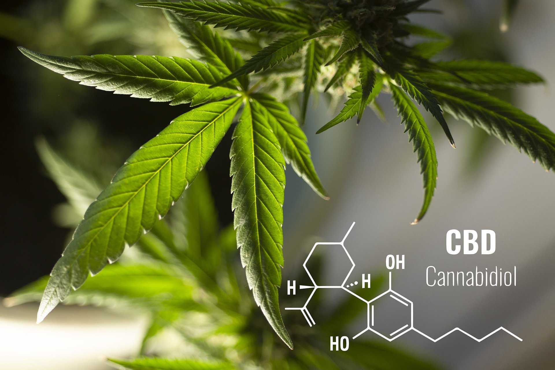CBD-defined 