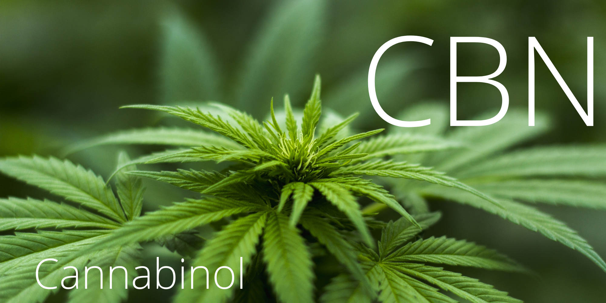 CBN-defined